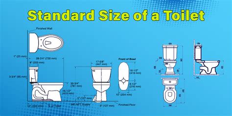 What is the Standard Size of a Toilet? - Twimbow