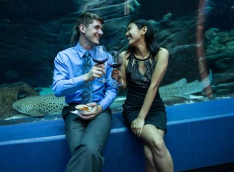 Event Venues In Atlanta Georgia | Georgia Aquarium