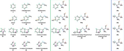 Molecular structure of the amino acids Ala, Phe, Tyr, Trp and His, as ...