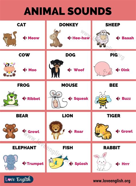 Animal Sounds: Interesting List of Animal Sounds for Kids - Love English