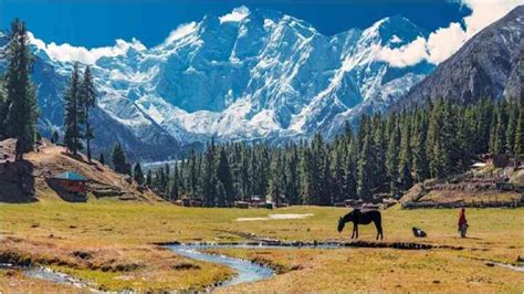 Pakistan Tourism: 700,000 tourists visited Gilgit Baltistan - Economy.pk