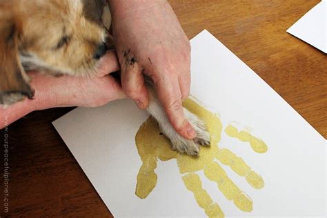 How to Make a Keepsake Dog or Puppy Paw Print