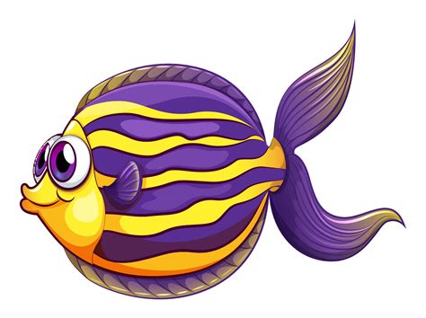 A colorful round fish 520891 Vector Art at Vecteezy