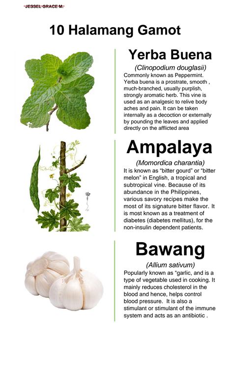 SOLUTION: Pharmacy botany sampung halamang gamot sa pilipinas - Studypool