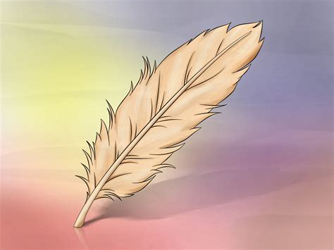 How to Draw a Feather: 8 Steps (with Pictures) - wikiHow