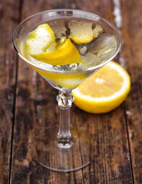 Dry Gin Martini with Lemon Twist - The Ideas Kitchen | Recipe | Dry gin ...