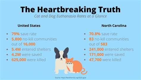 Animal shelters are working to reduce euthanasia rates - UNC Media Hub