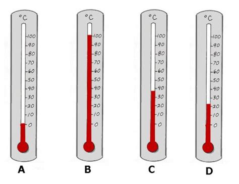 Celsius Thermometer Reading Exercise — Homeschool Science for Kids