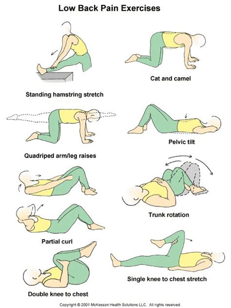 Pediatrics Patient Information: Low Back Pain Exercises: Illustration ...