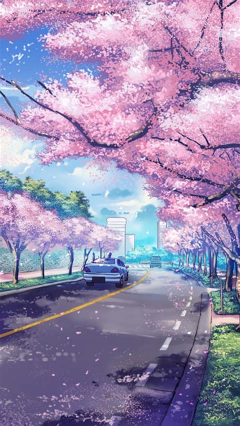 Cherry Blossom Anime Aesthetic Wallpapers - Wallpaper Cave