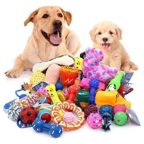 Dog Toys Assorted Play Bundle Puppy Pet Ropes Chew Squeaky Fetch Balls ...