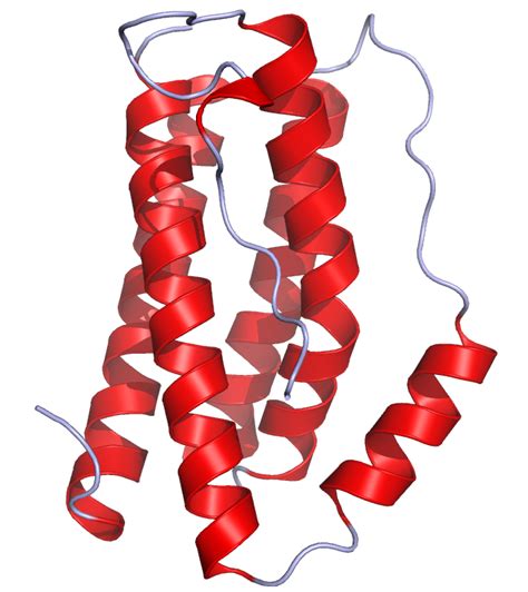 File:IL6 Crystal Structure.rsh.png - Wikipedia, the free encyclopedia