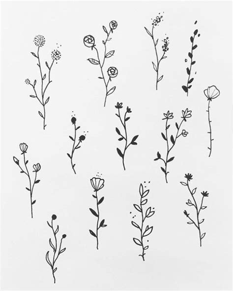 25 Beautiful Flower Drawing Information & Ideas - Brighter Craft ...