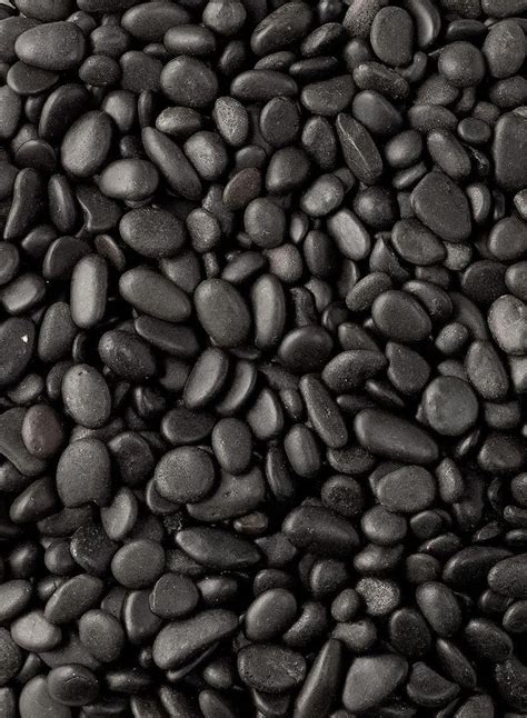 Polished Black Gravel | Rock garden design, Black rock landscaping ...