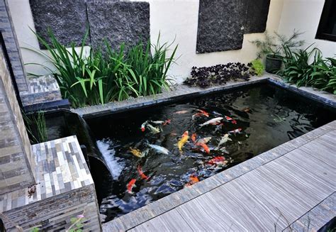 41 Unique Koi Pond Ideas & Designs (With Pictures)