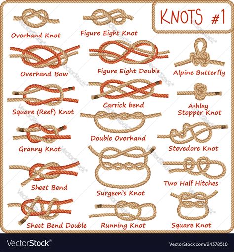 Set rope knots hitches bows bends Royalty Free Vector Image