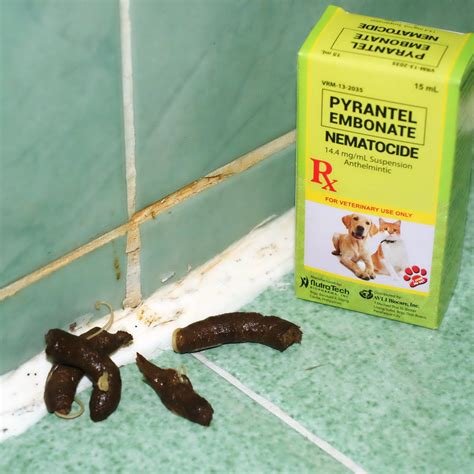 CATZILLA: Pyrantel Embonate Nematocide/Dewormer For Cats and Dogs ...