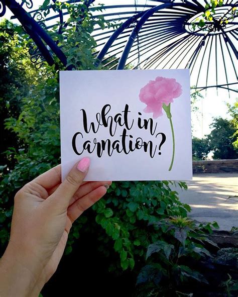 What in carnation? 😯 This feels like July weather, not September ...