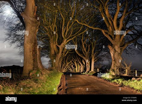 The dark hedges hi-res stock photography and images - Alamy