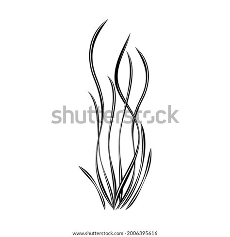 457 Seagrass Vector Images, Stock Photos & Vectors | Shutterstock