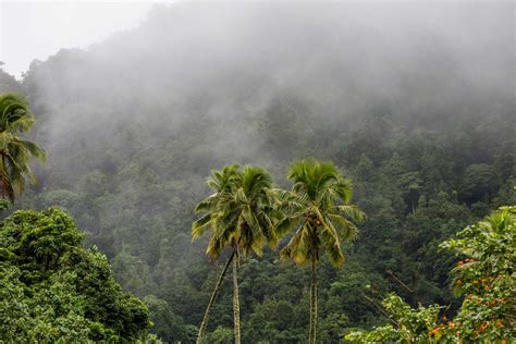 Rarotonga & the Cook Islands Weather in December