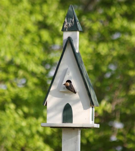 Chickadee Bird House Dimensions | Birdcage Design Ideas