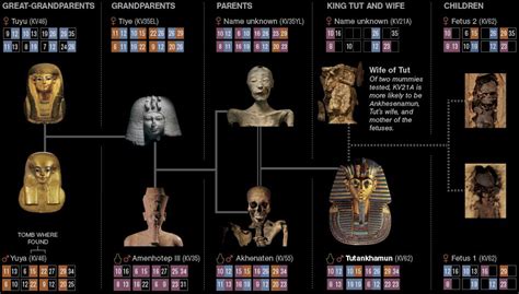 Nefertiti And Akhenaten Family Trees | ... and Other Civilization ...