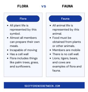 5 Difference Between Flora and Fauna | Flora vs Fauna