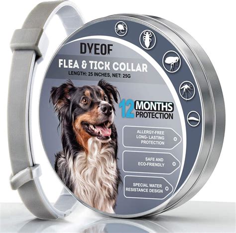 Best All Natural Dog Flea And Tick Collar