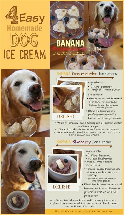 4 Easy Homemade Dog Ice Cream Recipes - Golden Woofs