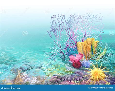 Coral Reef Background Stock Image - Image: 2787881