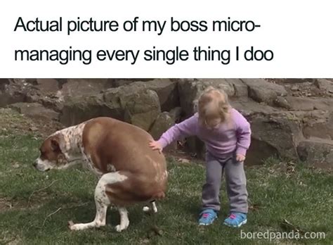 30 Funniest Boss Memes To Send To Your Co-Workers (And Not Only ...