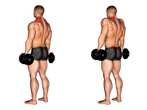 Dumbbell Shrug: Benefits, Muscles Worked, and More - Inspire US