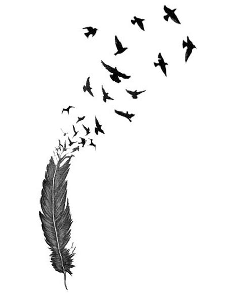 Feather Bird Silhouette at GetDrawings | Free download