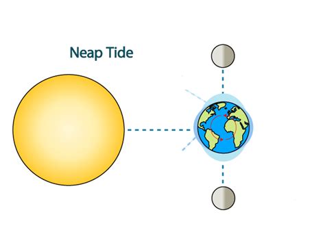 Neap Tides Diagram | Quizlet