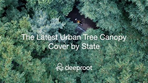 The Latest Urban Tree Canopy Cover by State | DeepRoot Blog