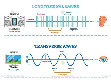 +14 Longitudinal Wave And Transverse Wave Diagram References - Bigmantova