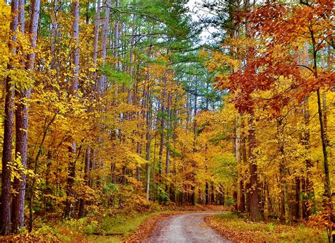 Fall Colors, Shawnee National Forest | Shawnee national forest, Country ...