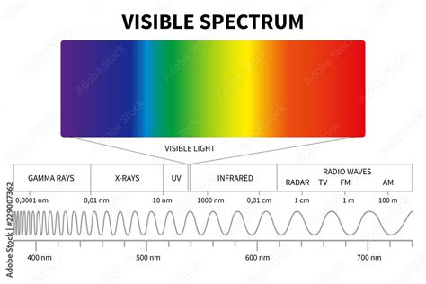 Visible light diagram. Color electromagnetic spectrum, light wave ...