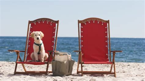 10 best pet-friendly resorts and hotels in the U.S. - FamilyVacationist