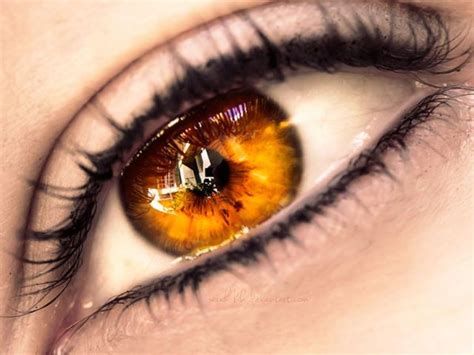 What Should Your Fantasy Eye Color Really Be? | Gold eyes, Eye color ...