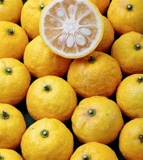 Yuzu Fruit: 9 Health Benefits, How To Eat, And Side Effects | Fruit ...