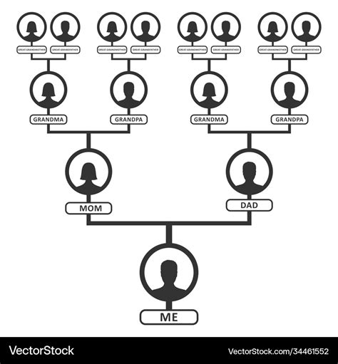 Family tree pedigree or ancestry chart template Vector Image