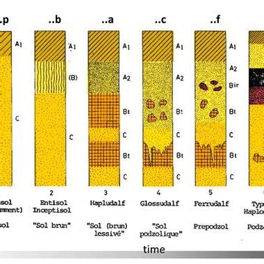 Soil formation in eolian loess deposits starting from the late glacial ...