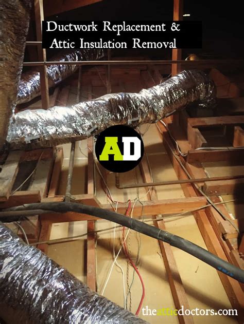 Attic Insulation Removal and Replacement Services | The Attic Doctors