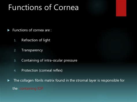 Cornea Basic