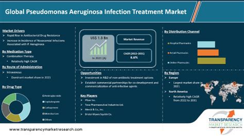 Pseudomonas Aeruginosa Uti Treatment - Carpet Vidalondon