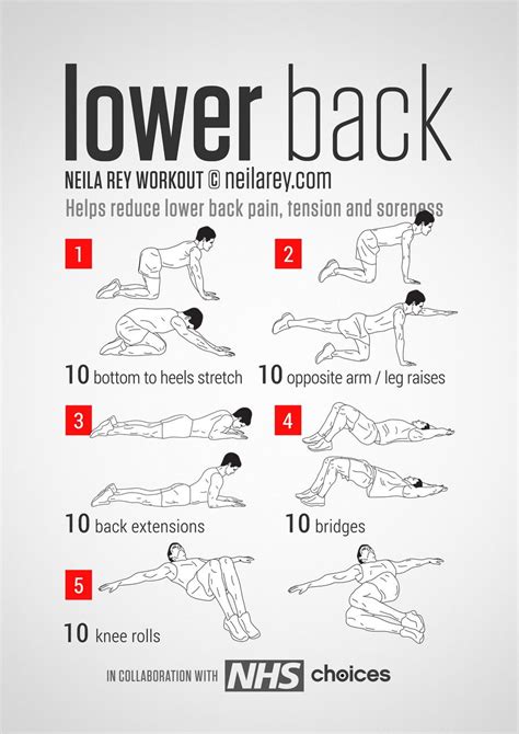 Lower Back Workout | Neila rey workout, Lower back exercises, Back workout