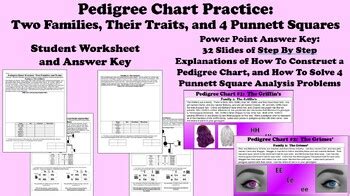 Pedigree Chart Practice: 2 Families, 4 Punnett Squares, PowerPoint ...