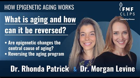 How epigenetic aging works and how it might be reversed | Dr. Morgan Levine